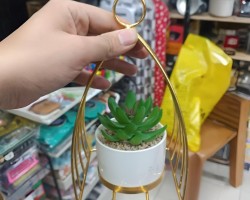 ستاند ذهبي مع قوار ورد صبار16 سم بورسلان   